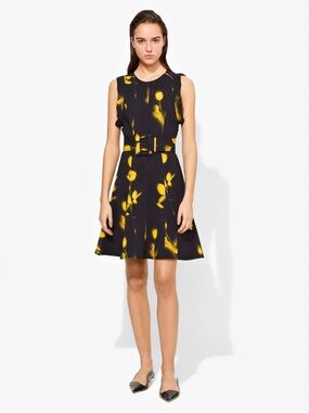 Proenza Schouler Abstract Print Cady Swing Dress